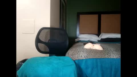 bobbiebone and company online show from February 4, 3:18 pm