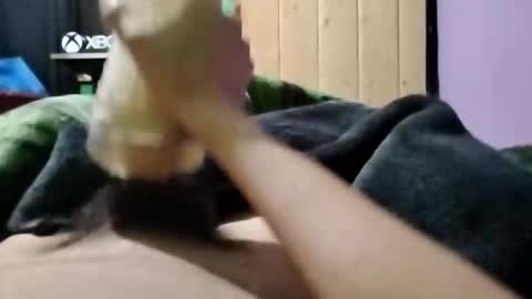 TaneEnterpriseOnInsta online show from November 2, 6:17 am