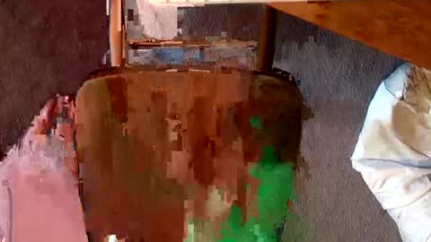 book worm online show from June 18, 6:15 am