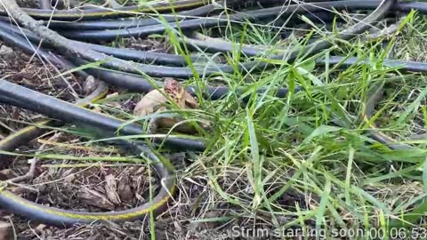 Booker Baxton online show from March 5, 4:02 am