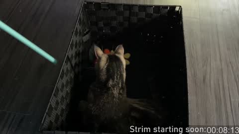 Booker Baxton online show from January 3, 4:00 am