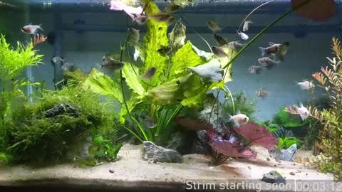 Booker Baxton online show from December 20, 4:09 am