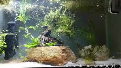 Booker Baxton online show from December 7, 4:09 am