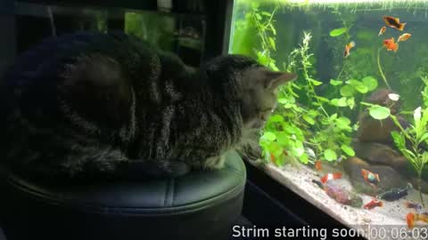 Booker Baxton online show from September 9, 3:06 am