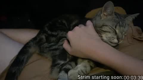 Booker Baxton online show from December 11, 4:09 am