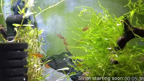 Booker Baxton online show from January 17, 4:06 am