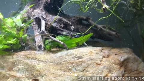 Booker Baxton online show from January 24, 4:05 am