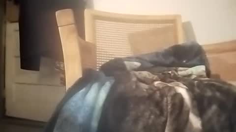 Snapshot of boytowhip chatting on October 31, 11:02 am boytowhip online show from October 31, 11:02 am