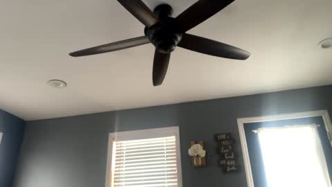 boytoy8969 online show from December 23, 3:01 pm