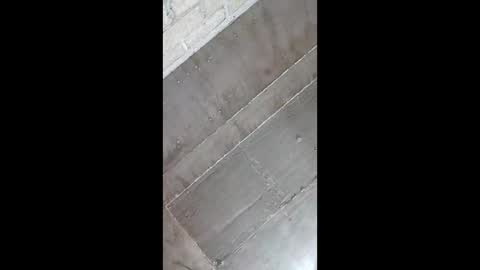 brayan2128 online show from January 15, 7:23 am