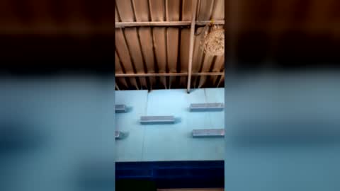 bbc online show from February 15, 7:51 am