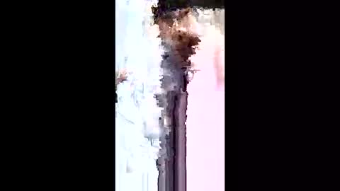 bryyantorres0302 online show from April 2, 10:28 pm