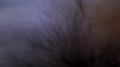 bull33_ online show from June 28, 2:17 am