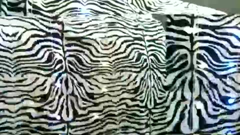 bustinfree online show from February 24, 3:42 pm