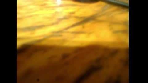 bzxxbzh online show from February 15, 4:15 pm