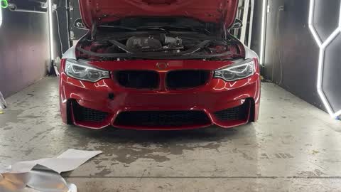 NIO POLLA online show from March 26, 9:19 pm