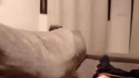 carlitito1 online show from October 30, 5:36 pm