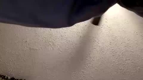 cdcro1986 online show from April 6, 2:41 am