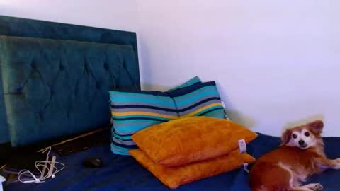 Cedrixx10 online show from September 28, 1:03 am