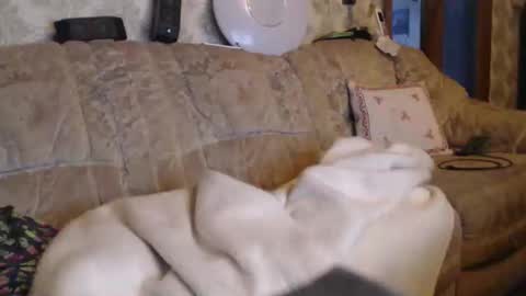 chacoa online show from January 11, 10:52 am