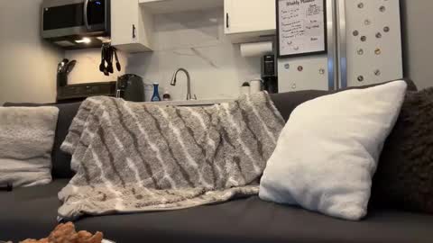 ChadTitan online show from February 6, 12:29 am