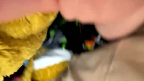 charmerboi2 online show from March 20, 6:50 am