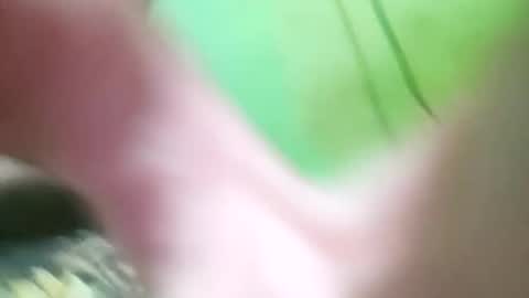 chilehot28 online show from February 3, 2:53 am