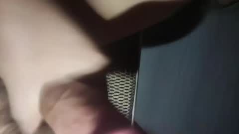 chinacock_16cm online show from August 5, 4:01 pm
