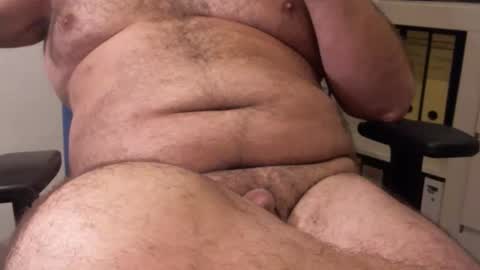 Chubby Bear BY online show from January 7, 6:51 am