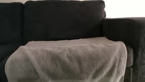 AstorYvr online show from November 6, 6:05 am