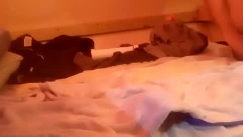 HeyTurkeyBoy online show from November 9, 6:06 am