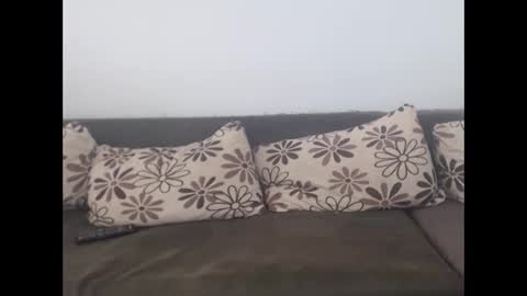 cobra4u online show from November 20, 10:03 am