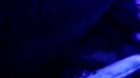 Aleks online show from November 17, 1:52 am