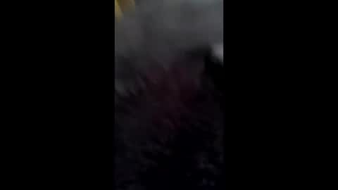 col4nows online show from February 1, 12:48 pm