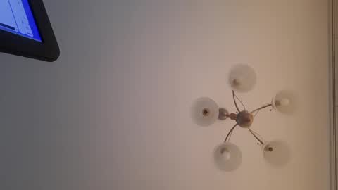 Corvus online show from December 30, 12:52 pm