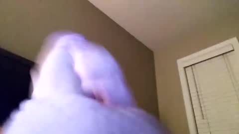 Cranada777 online show from January 16, 1:14 pm