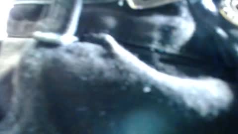Snapshot of crismens chatting on September 21, 6:41 pm crismens online show from September 21, 6:41 pm