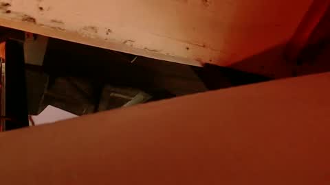 cryan96 online show from February 4, 8:56 am