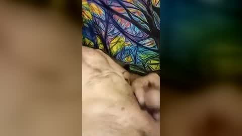 cuminmymouthalot online show from June 12, 1:48 am