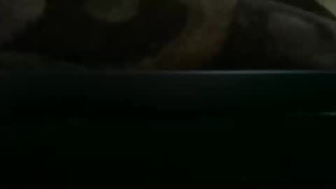 cumsterbator online show from March 17, 12:25 am