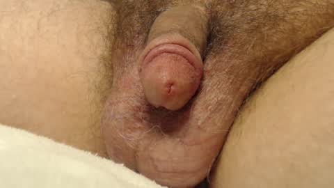 curve66 online show from September 10, 9:46 pm