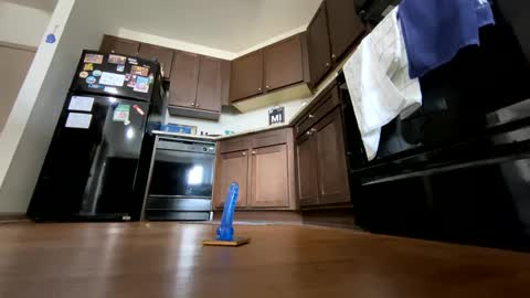 Buster95 online show from February 16, 4:21 pm