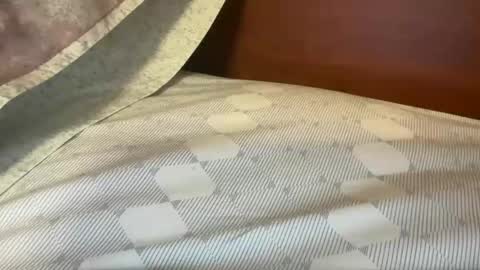 daddys___home online show from October 28, 7:49 pm