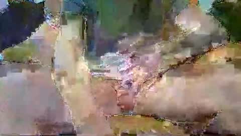 dalamud48 online show from February 5, 9:05 am