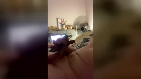 dangros438435 online show from March 31, 2:52 pm