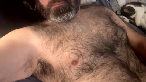 Danimal1386 online show from January 15, 6:32 pm