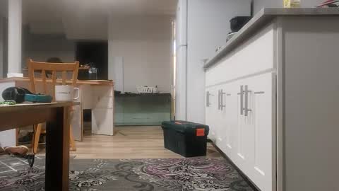 danimal5000 online show from November 18, 4:00 pm