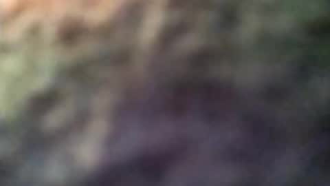 dannowisc online show from April 8, 2:56 am