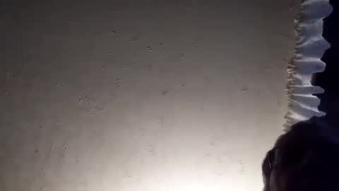 dannowisc online show from February 14, 12:55 pm