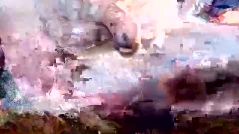 dannypearlz online show from February 15, 7:11 pm